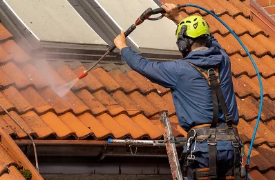Démoussage et hydrofuge de toiture à Viozan